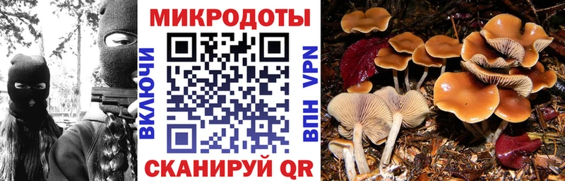 Псилоцибиновые грибы Cubensis  Купить закладки  Кунгур 